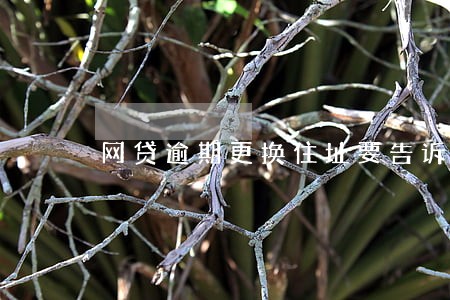 网贷逾期更换住址要告诉他们吗
