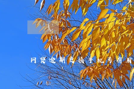 网贷逾期更换手机号有用吗 网贷逾期更换手机号有用吗