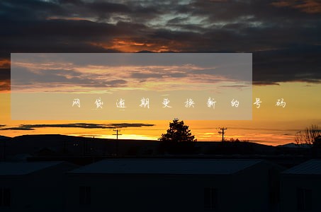 网贷逾期更换新的号码