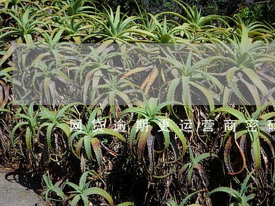 网贷逾期更运营商密码有用吗 网贷逾期更运营商密码有用吗