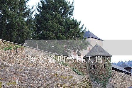 网贷逾期曾每天增长30元 网贷逾期曾每天增长30元