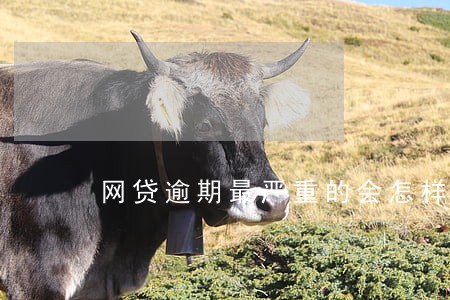 网贷逾期最严重的会怎样 网贷逾期最严重的会怎样