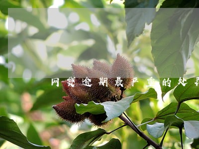 网贷逾期最严重的处罚 网贷逾期最严重的处罚