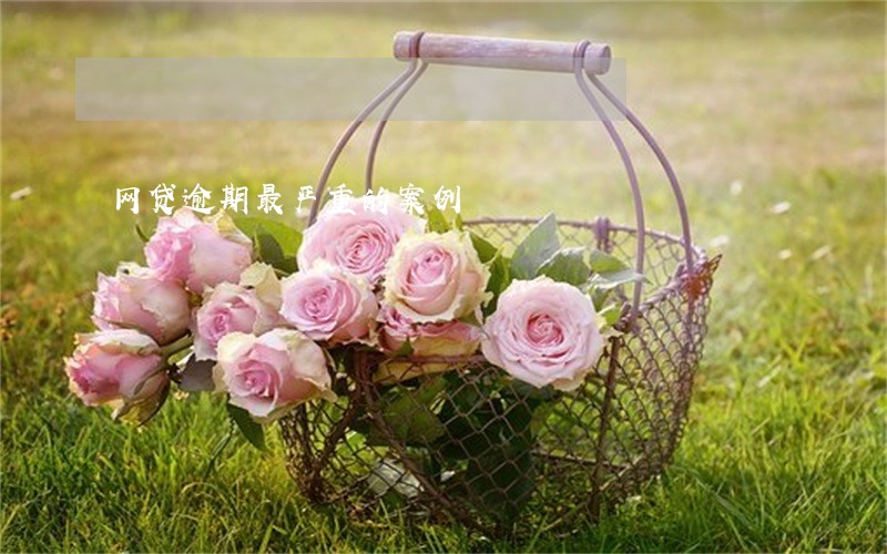 网贷逾期最严重的案例 网贷逾期最严重的案例