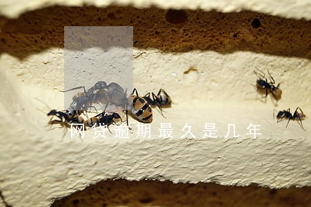 网贷逾期最久是几年