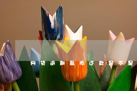网贷逾期最低还款是不是坑 网贷逾期最低还款是不是坑