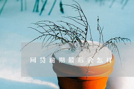 网贷逾期最后会怎样 网贷逾期最后会怎样