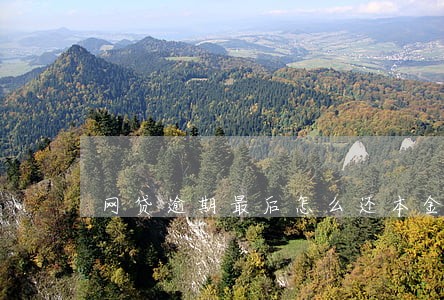 网贷逾期最后怎么还本金 网贷逾期最后怎么还本金