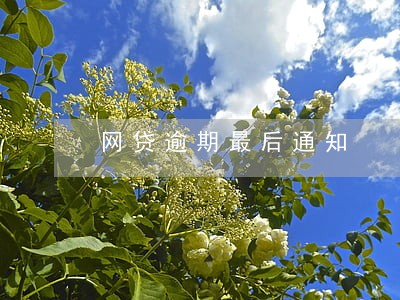 网贷逾期最后通知 网贷逾期最后通知