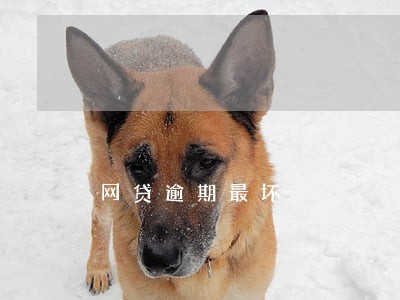 网贷逾期最坏 网贷逾期最坏