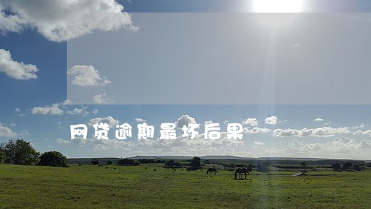 网贷逾期最坏后果 网贷逾期最坏后果
