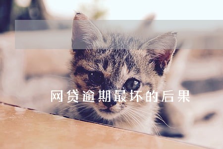 网贷逾期最坏的后果 网贷逾期最坏的后果