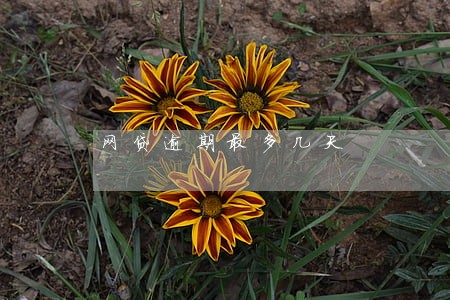 网贷逾期最多几天 网贷逾期最多几天