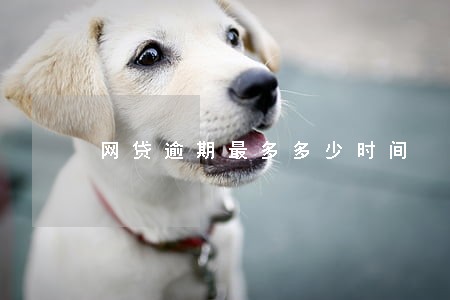 网贷逾期最多多少时间 网贷逾期最多多少时间