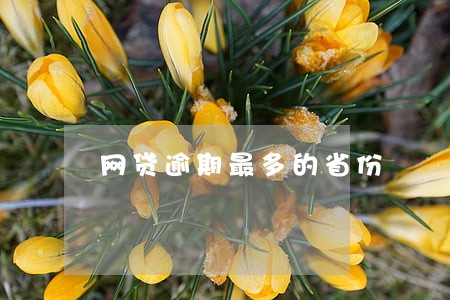 网贷逾期最多的省份