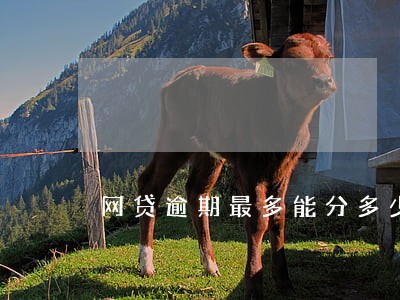 网贷逾期最多能分多少期 网贷逾期最多能分多少期