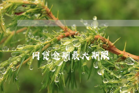 网贷逾期最大期限