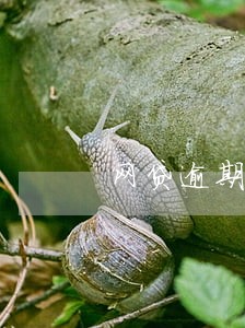 网贷逾期最差的结果是什么 网贷逾期最差的结果是什么