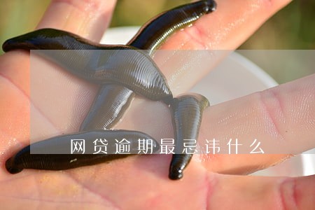 网贷逾期最忌讳什么 网贷逾期最忌讳什么