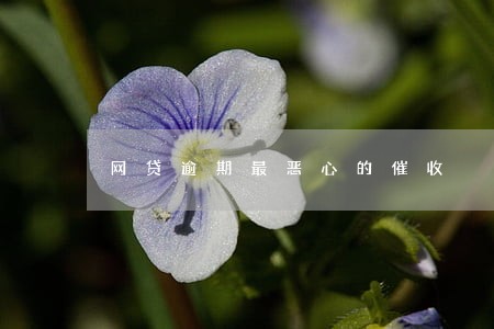 网贷逾期最恶心的催收 网贷逾期最恶心的催收