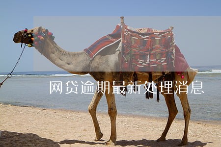 网贷逾期最新处理消息 网贷逾期最新处理消息