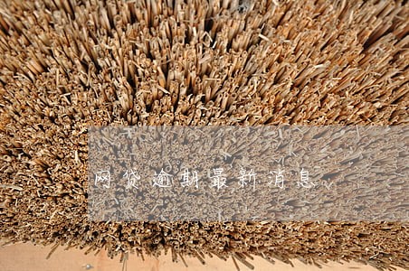 网贷逾期最新消息 网贷逾期最新消息
