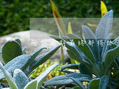 网贷逾期最终都得协商 网贷逾期最终都得协商