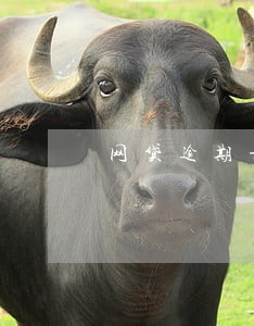 网贷逾期最近不来短信了 网贷逾期最近不来短信了