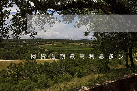 网贷逾期最高利息多少 网贷逾期最高利息多少
