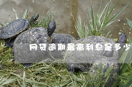 网贷逾期最高利息是多少钱 网贷逾期最高利息是多少钱