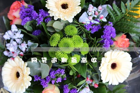 网贷逾期最高收费 网贷逾期最高收费