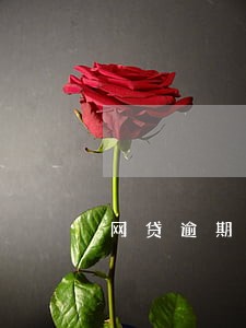 网贷逾期最高翻几倍