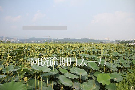 网贷逾期月入一万 网贷逾期月入一万
