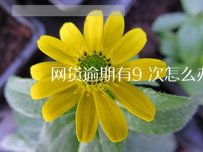 网贷逾期有9次怎么办 网贷逾期有9次怎么办