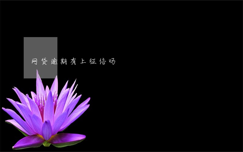 网贷逾期有上征信吗 网贷逾期有上征信吗