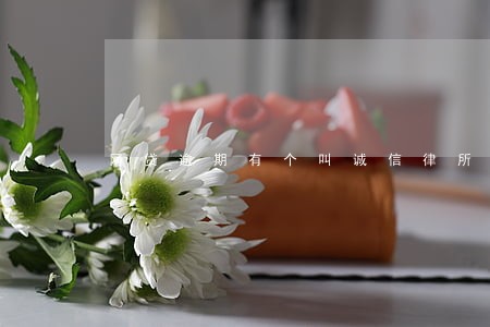 网贷逾期有个叫诚信律所 网贷逾期有个叫诚信律所