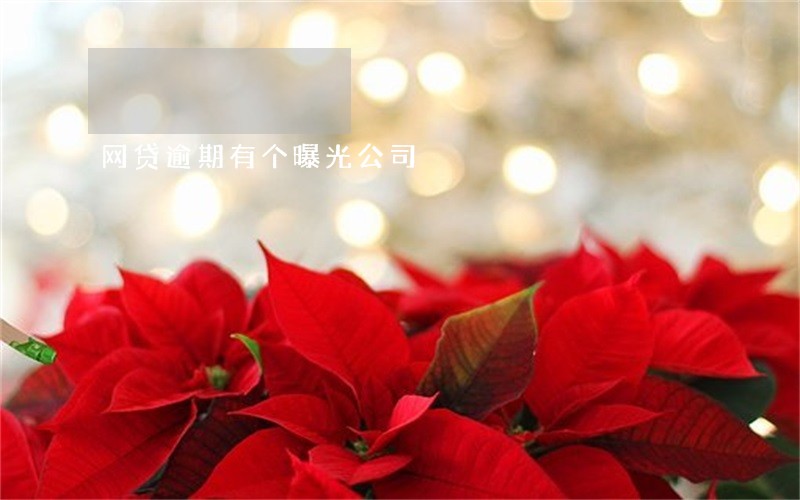 网贷逾期有个曝光公司 网贷逾期有个曝光公司