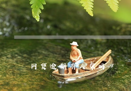 网贷逾期有人帮吗 网贷逾期有人帮吗