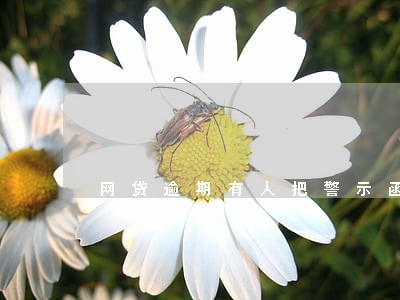 网贷逾期有人把警示函贴到了家里