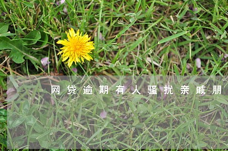 网贷逾期有人骚扰亲戚朋友 网贷逾期有人骚扰亲戚朋友
