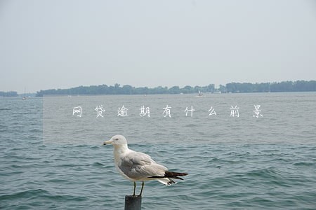 网贷逾期有什么前景