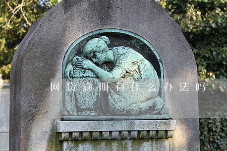 网贷逾期有什么办法吗 网贷逾期有什么办法吗