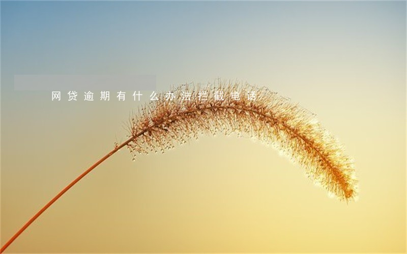 网贷逾期有什么办法拦截电话 网贷逾期有什么办法拦截电话