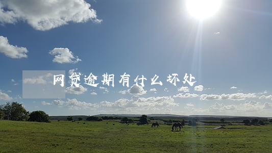 网贷逾期有什么坏处 网贷逾期有什么坏处