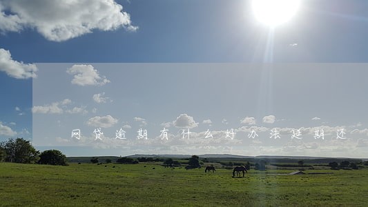 网贷逾期有什么好办法延期还