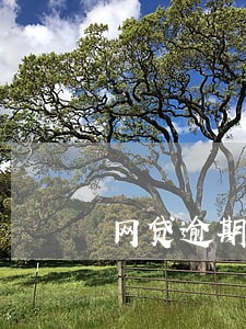 网贷逾期有什么结果 网贷逾期有什么结果