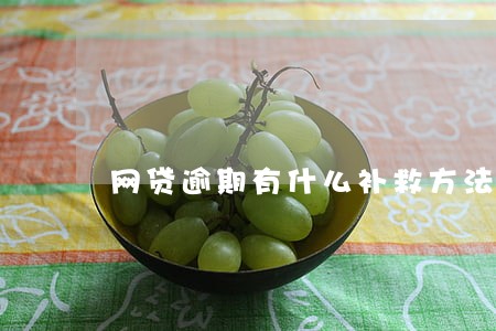 网贷逾期有什么补救方法 网贷逾期有什么补救方法