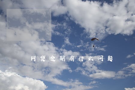 网贷逾期有什么问题
