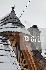网贷逾期有何结果 网贷逾期有何结果