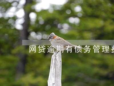 网贷逾期有债务管理费正常吗